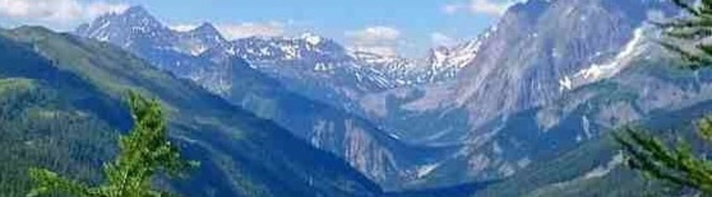 Run the Wild - Tour du Mont Blanc 1st Half banner image