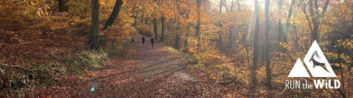 Run the Wild - Autumn 10K banner image