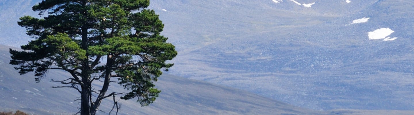 Trail Running Series - Brecon Beacons