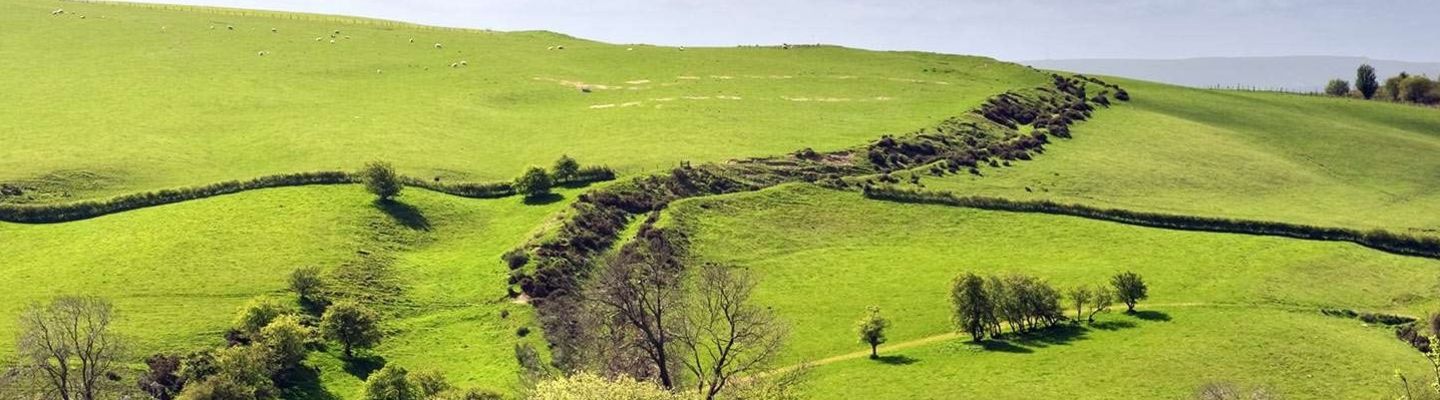 Offa's Dyke Race 2022 banner image