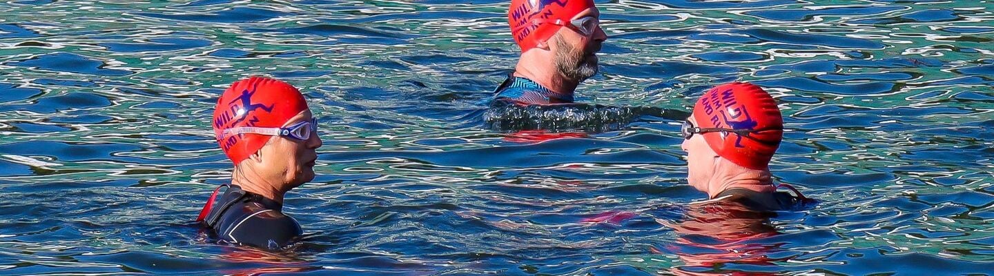 Wild Dart Swim and Aquathlon 2024 banner image