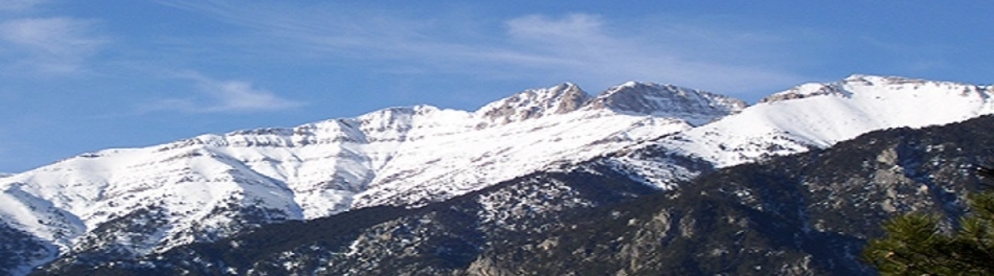 Trek Mount Olympus 