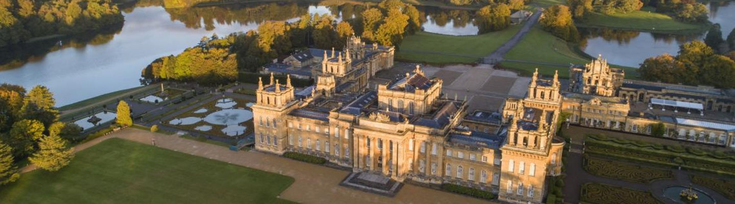 The Blenheim Palace Hedgejog 10k 2023 banner image