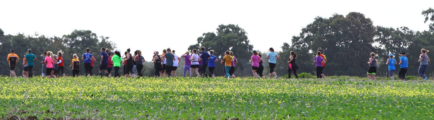 The Wingham Run banner image