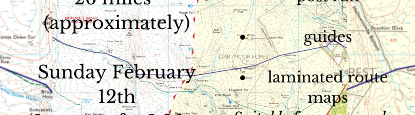 Dartmoor Crossing