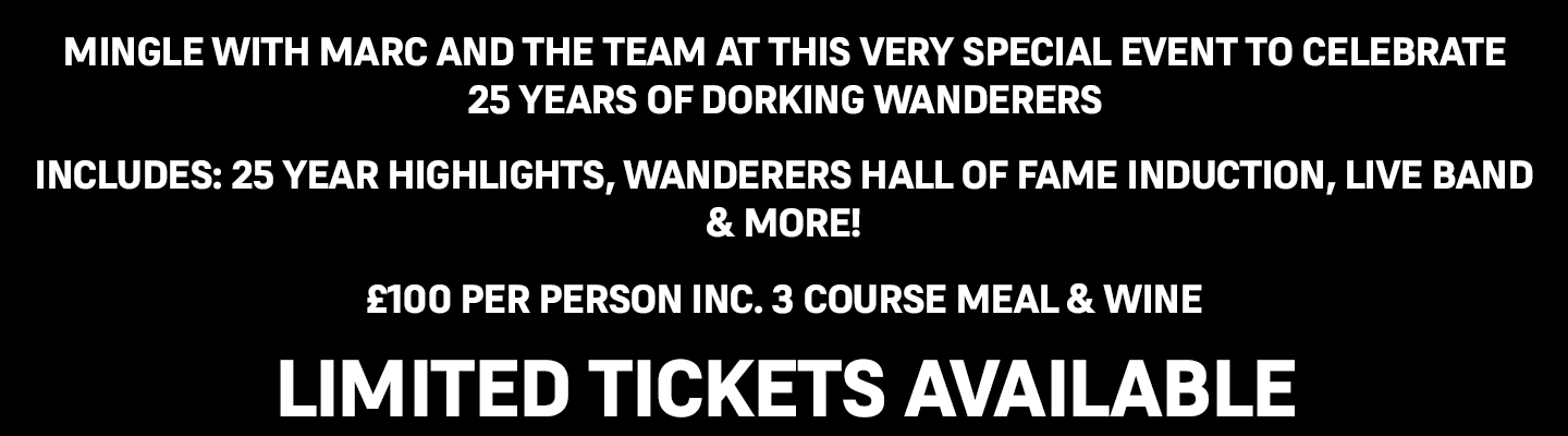 Dorking Wanderers FC - 25th Anniversary Gala Ball. Denbies Wine Estate - 29th June 2024 banner image