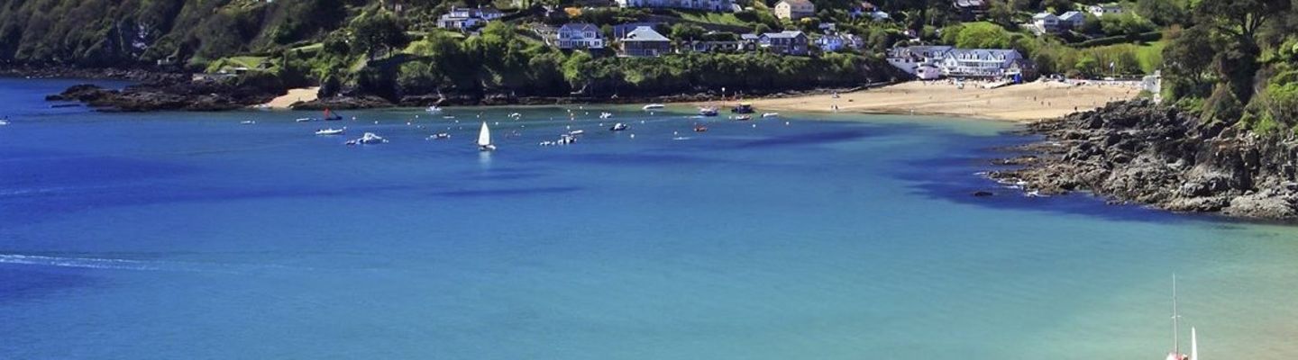 Salcombe Swim Run (SWOF Festival)  banner image