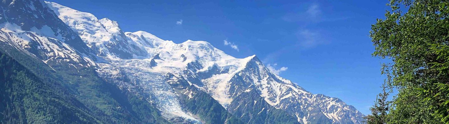 Run the Wild - Intermediate Alps banner image