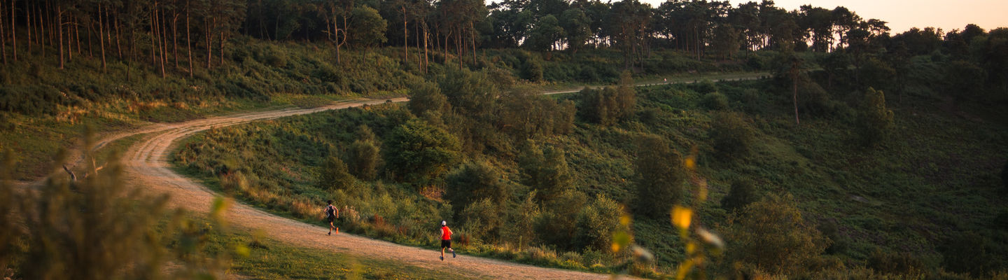 Devil's Punchbowl Night 10k