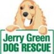 Jerry Green Dog Rescue #activepaws Challenge