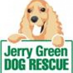 Jerry Green Dog Rescue #activepaws Challenge