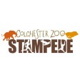 COLCHESTER STAMPEDE 10K -19th Nov 2020