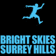 Bright Skies, Surrey Hills
