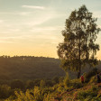 Devil's Punchbowl Evening Hike