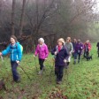 Nordic walking in the Chilterns