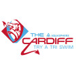 Cardiff Bay Try-A-Tri Swim 2025