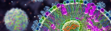 Theranostic Lipid Nanoparticles for Cancer Medicine