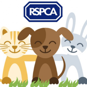 RSCPA Doncaster re-homing centre - A mile in their paws!