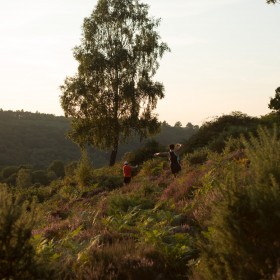 Devil's Punchbowl Night 10k