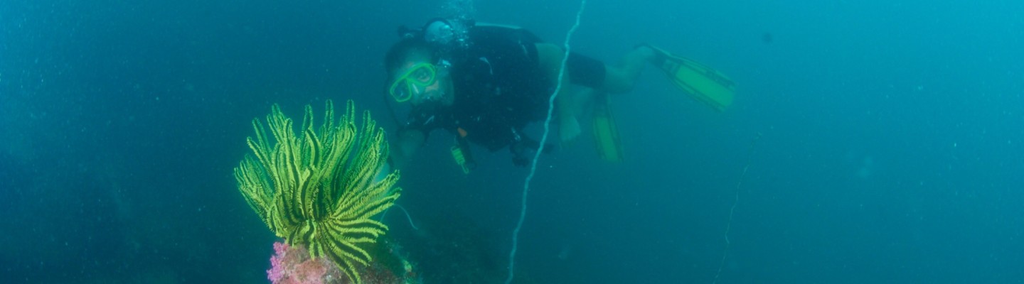profile-banner-image