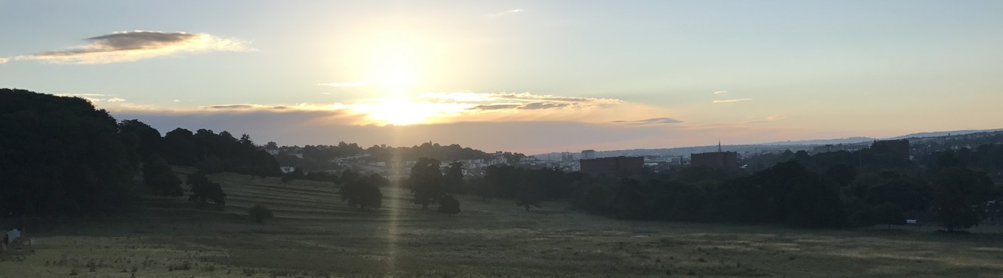profile-banner-image