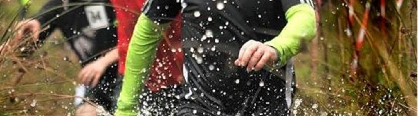 profile-banner-image