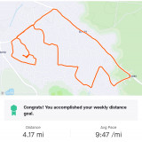 Verwood Runners