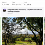 Verwood Runners