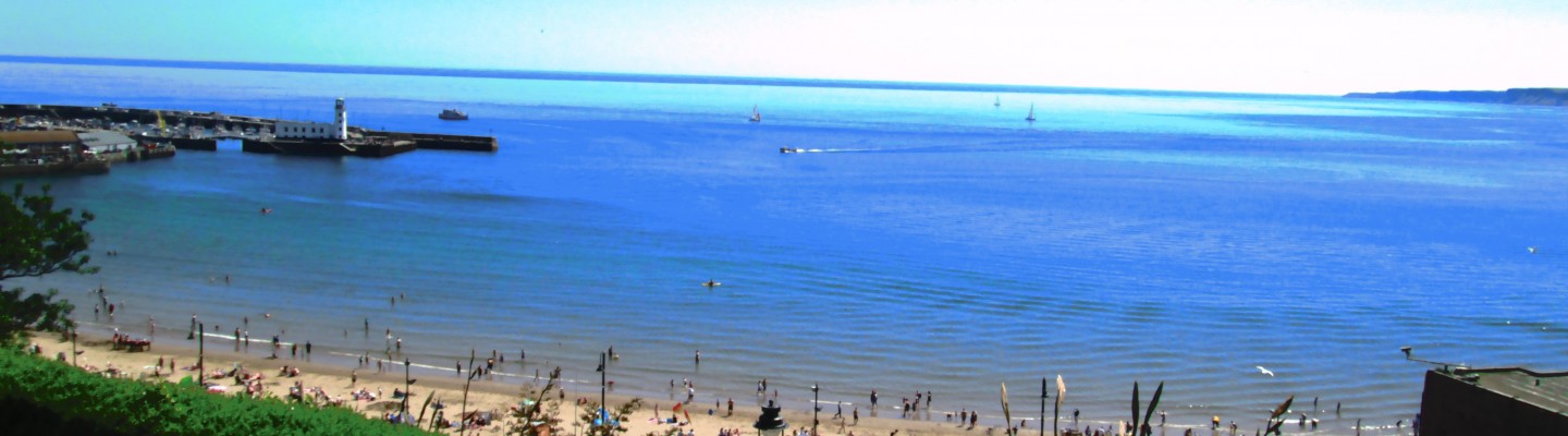 profile-banner-image