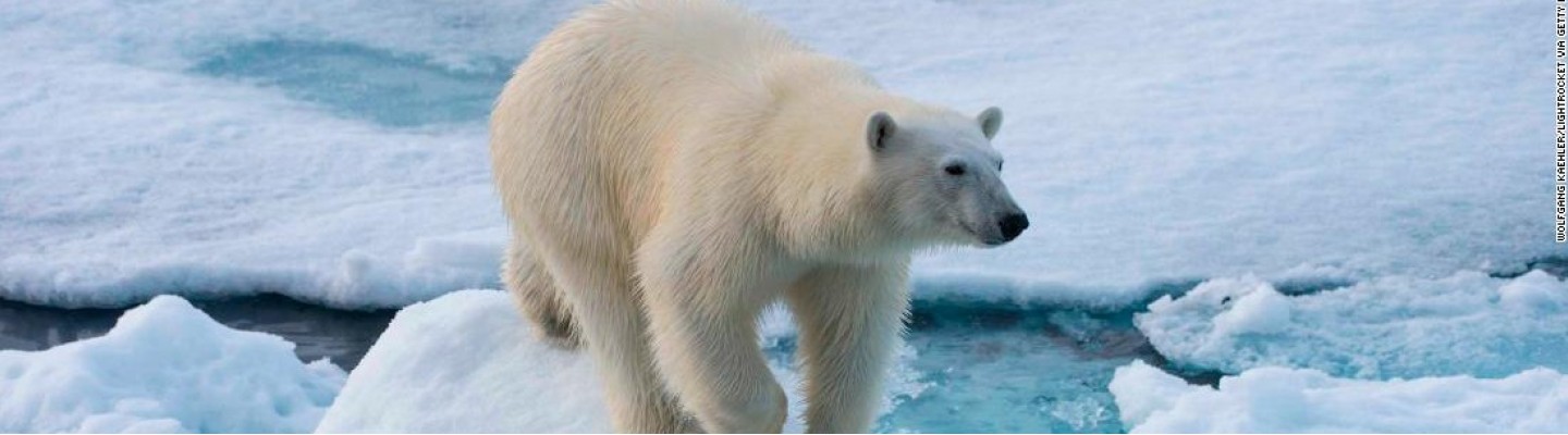 profile-banner-image