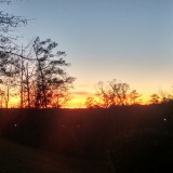 Shelby andrews's profile picture