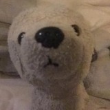 Charlotte Hall's profile picture
