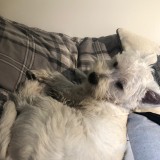 Christine Edwards's profile picture