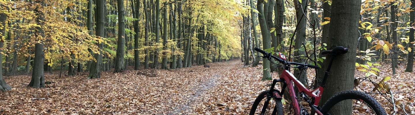 profile-banner-image