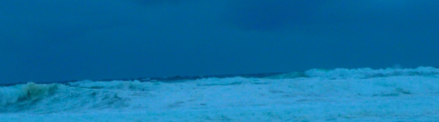 profile-banner-image