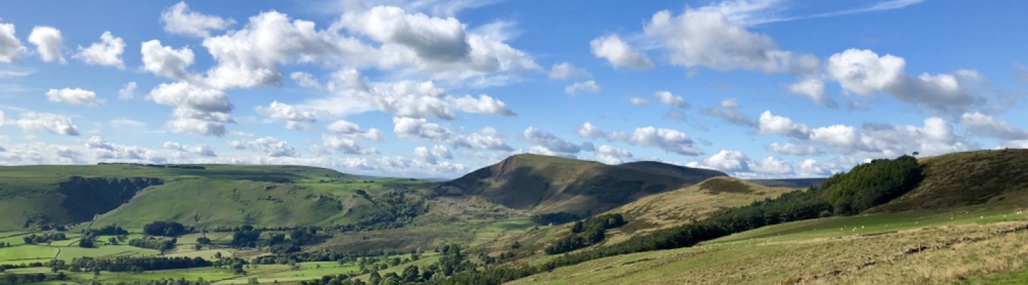 profile-banner-image