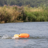 Swim Oxford Open