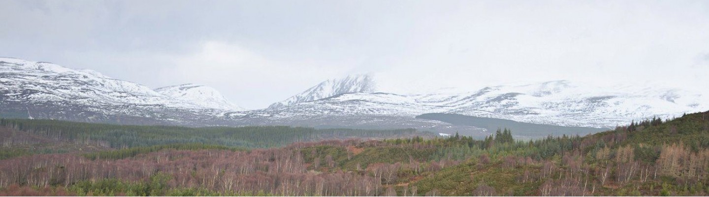 profile-banner-image