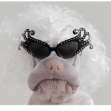 Helen Coakley's profile picture