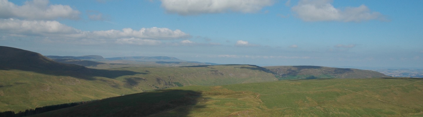 profile-banner-image