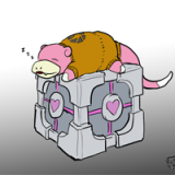 oruqov's profile picture