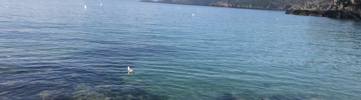 profile-banner-image
