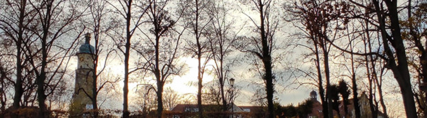 profile-banner-image