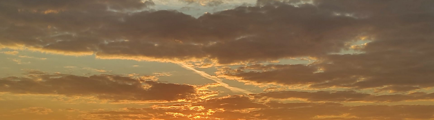 profile-banner-image