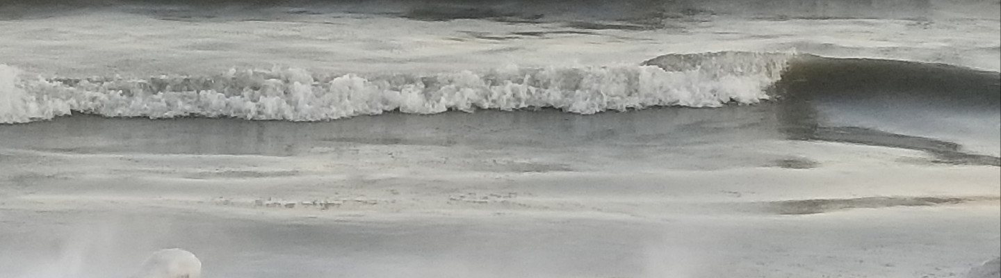 profile-banner-image