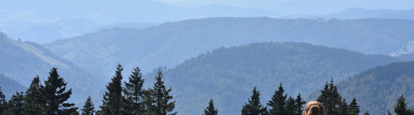 profile-banner-image