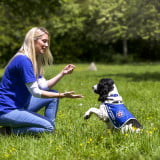 Veterans With Dogs