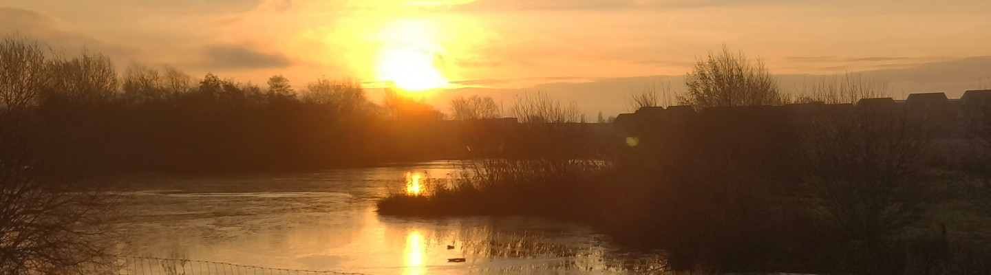 profile-banner-image