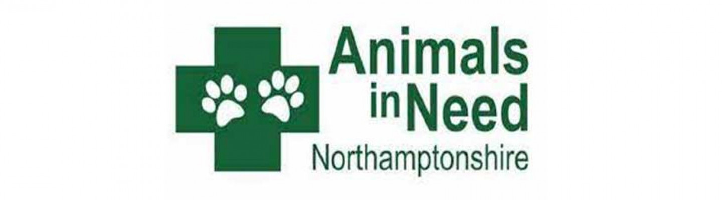 Animals In Need