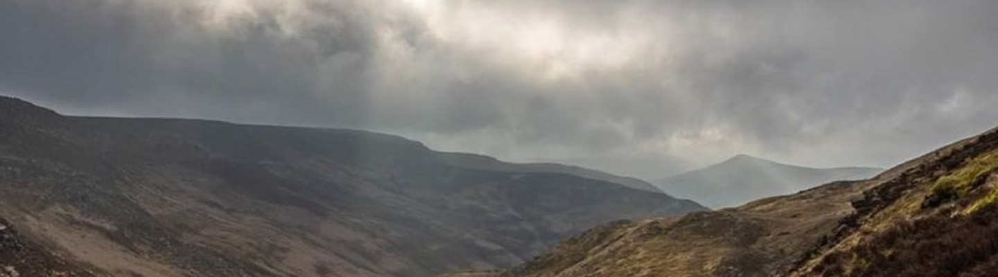 profile-banner-image